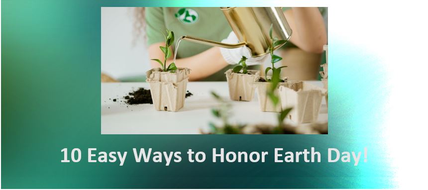 10 Easy Ways to Honour Earth Day
